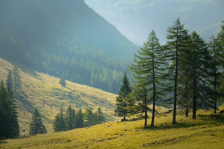 Exploring the Great Outdoors: A Traveler’s Guide to Outdoor Adventures